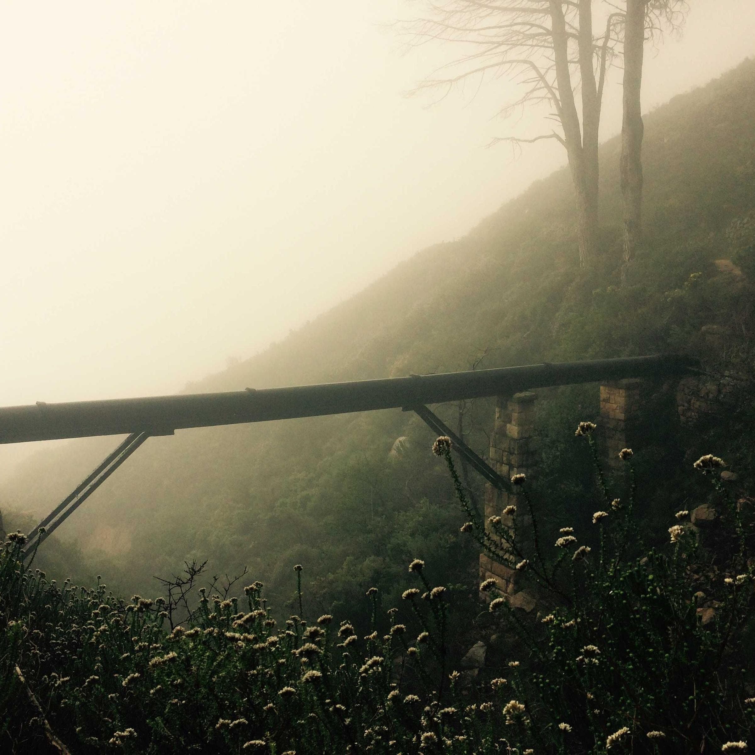 fog closing over a steep scrub hillside, a steel span on stone piers crossing the frame, pale flowering brush in the foreground