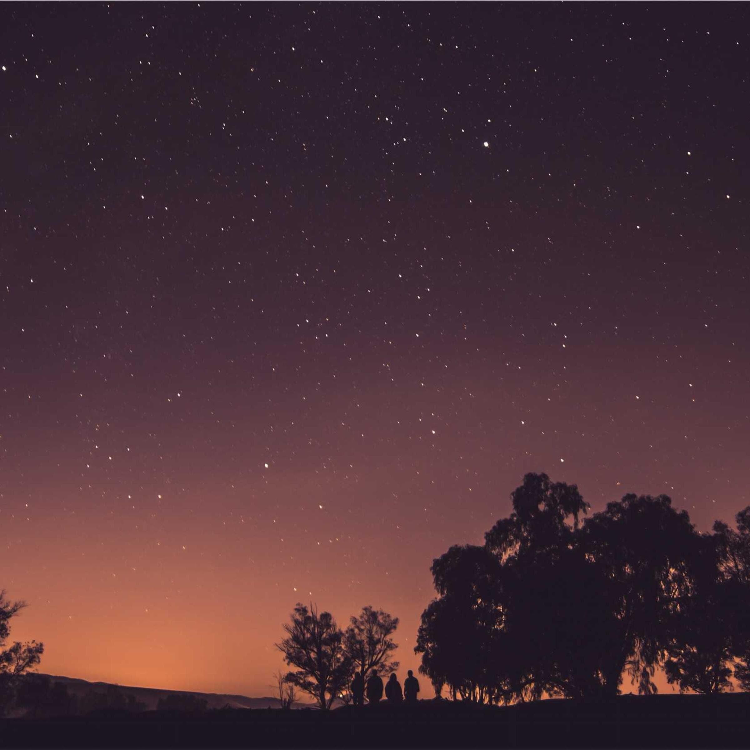 a dense field of stars over the last orange band of dusk, four figures standing small beneath a line of trees